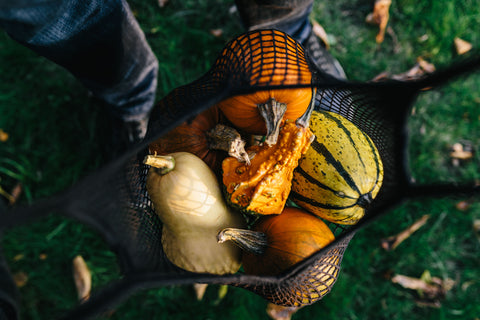 Pumpkin party: mexikanische Gerichte, die den Herbst rocken!